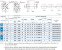FSIN1605B-3.0P Ballscrew Nut